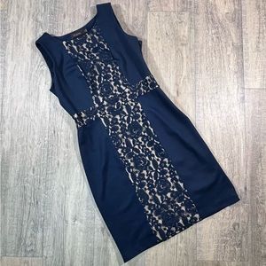 The Limited Navy Nude Lace Sleeveless Sheath Dress sz  10